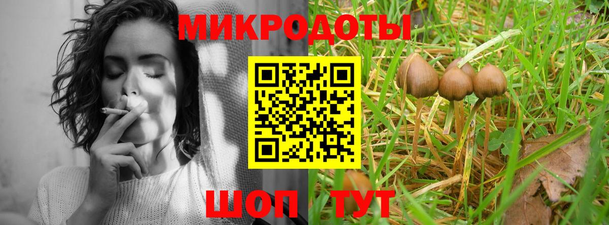 Псилоцибиновые грибы ЛСД Советск